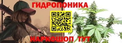 крисы Кимры