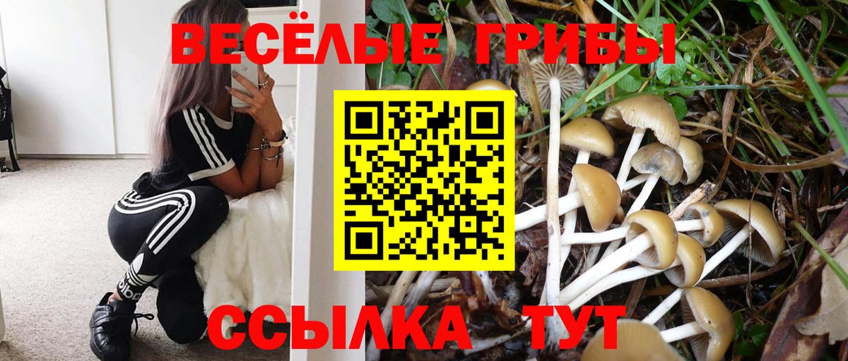 Куйбышев  Галлюциногенные грибы Psilocybine cubensis  Вход с VPN 