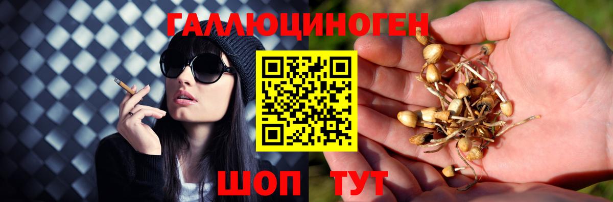 Галлюциногенные грибы MAGIC MUSHROOMS Куйбышев